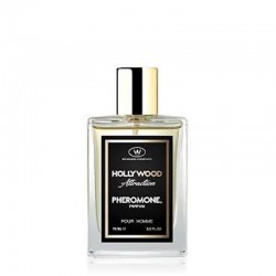 Wonder Company Hollywood...