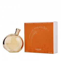 Hermès L Ambre des...