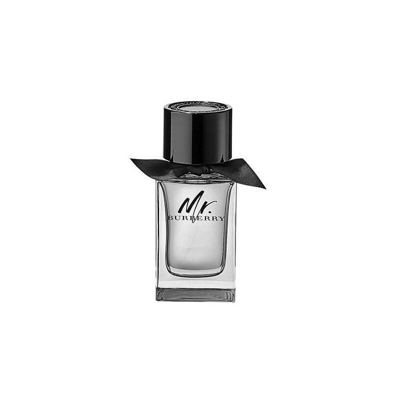 Burberry Mr. Burberry mzhki eau de toilette 100 ml bez kutiya
