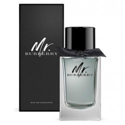 Burberry Mr. Burberry mzhki...