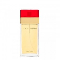DolceGabbana Pour Femme damski eau de toilette 100 ml bez kutiya
