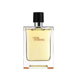 Hermès Terre dHermes mzhki eau de toilette 100 ml bez kutiya