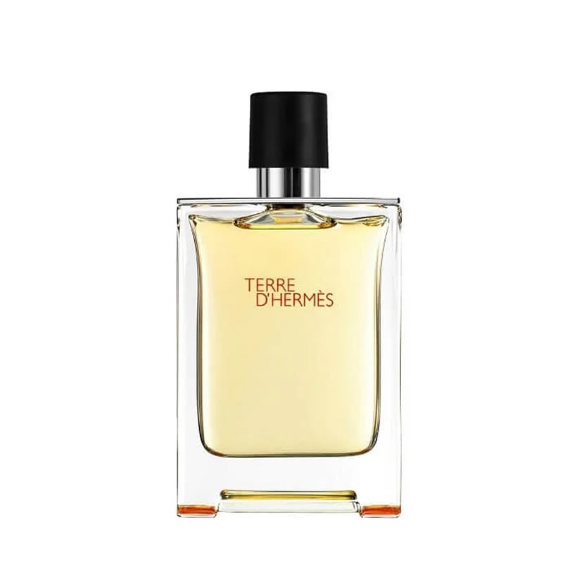 Hermès Terre dHermes mzhki eau de toilette 100 ml bez kutiya